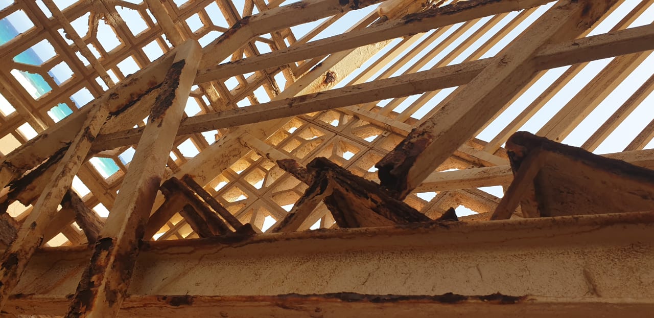 Sonstiges Hotel Riu Oliva Beach - Hotel