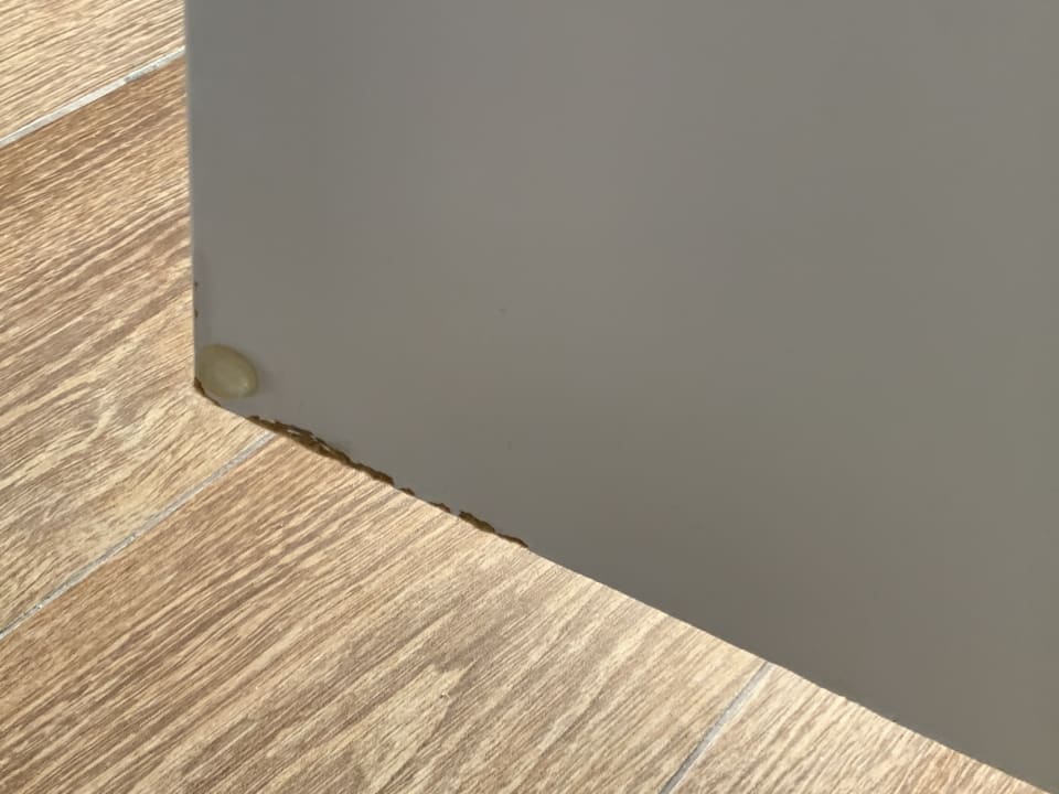 Zimmer Hotel Riu Arecas - Adults only