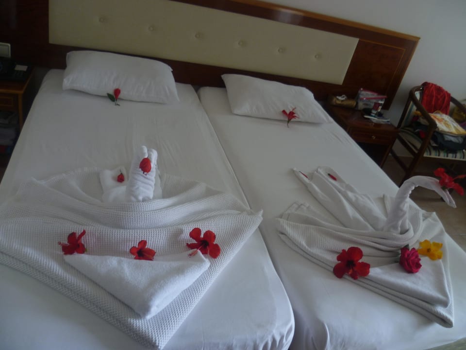 Ein kleines Kunswerk,nach einem weiteren Trinkgeld Hatipoglu Beach Hotel