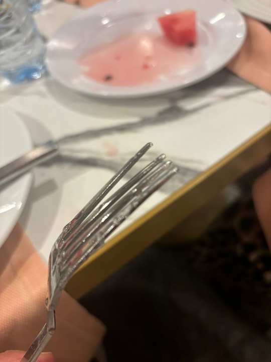 Gastro Master Family Club