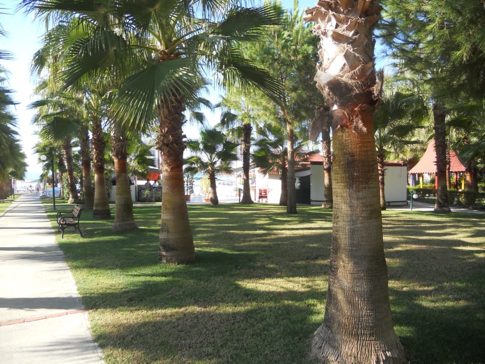 Blick zur Strandbar Hotel Miramare Beach