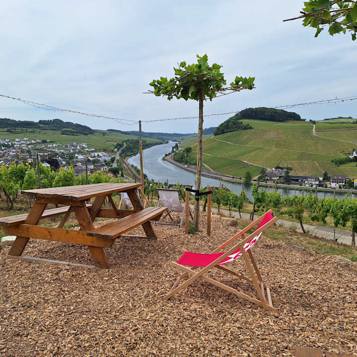 Sport & Freizeit Weingut Matthias Dostert / Culinarium
