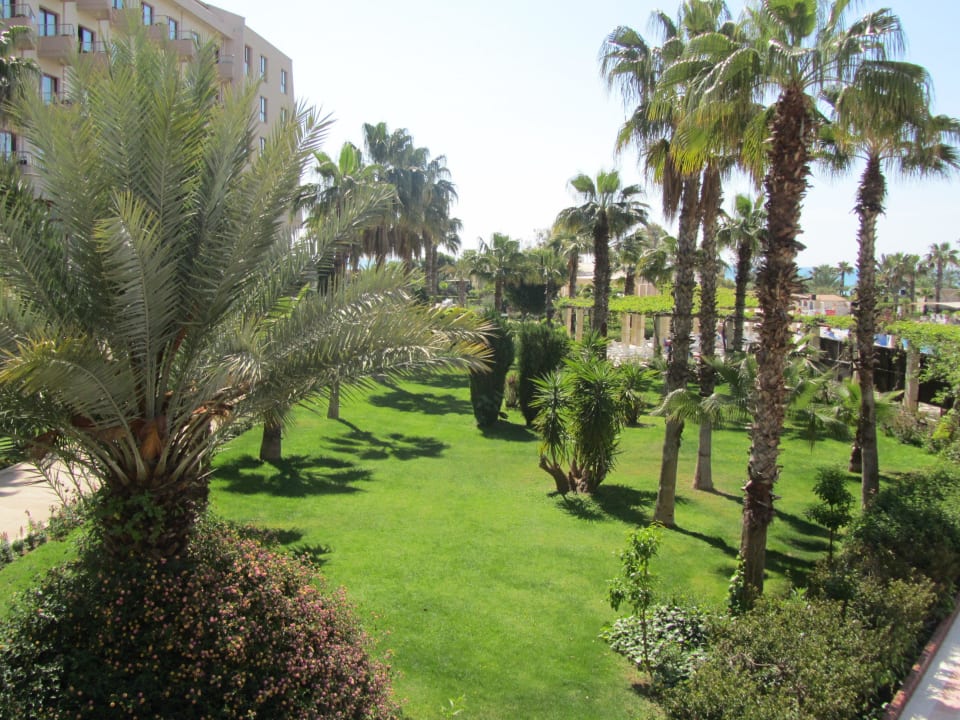 Hotel Riu Kaya Belek Kaya Belek Hotel