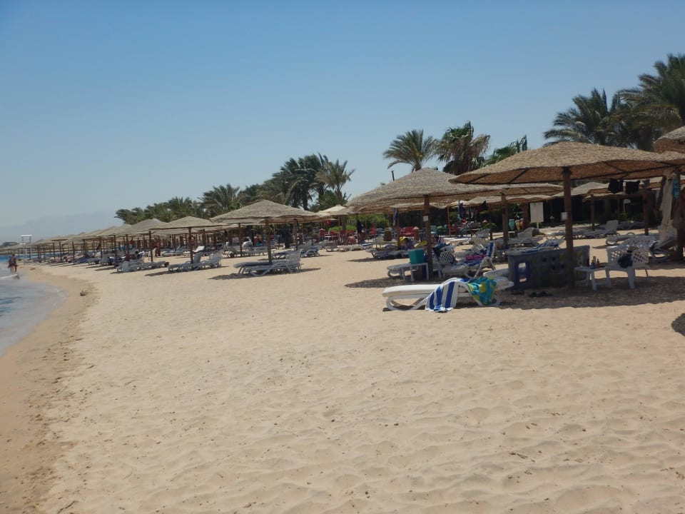Ganz viel Platz Fort Arabesque Resort, Spa & Villas