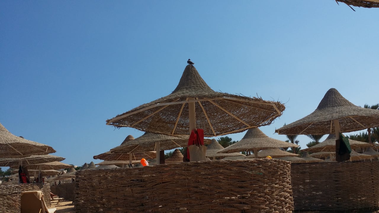 Strand Jaz Dar EL Madina