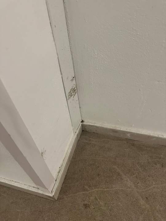 Sonstiges Hotel Riu Turquoise