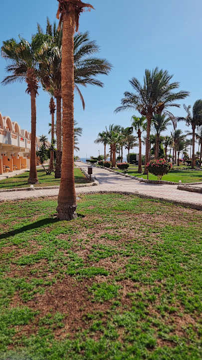 Gartenanlage Three Corners Sea Beach Resort