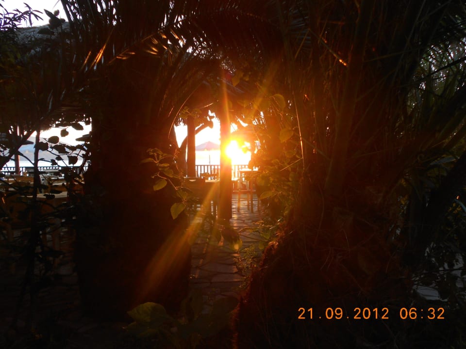 Sonnenaufgang von der hoteleigenen Taverne Porto Koukla Beach