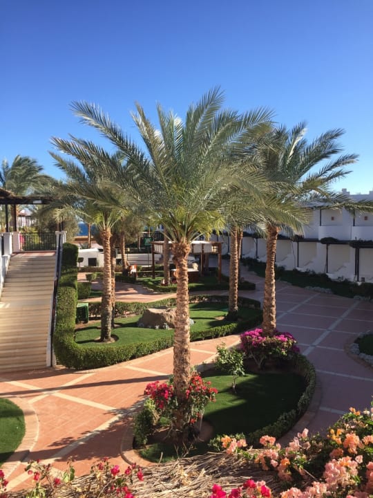 Ausblick JAZ Dahabeya