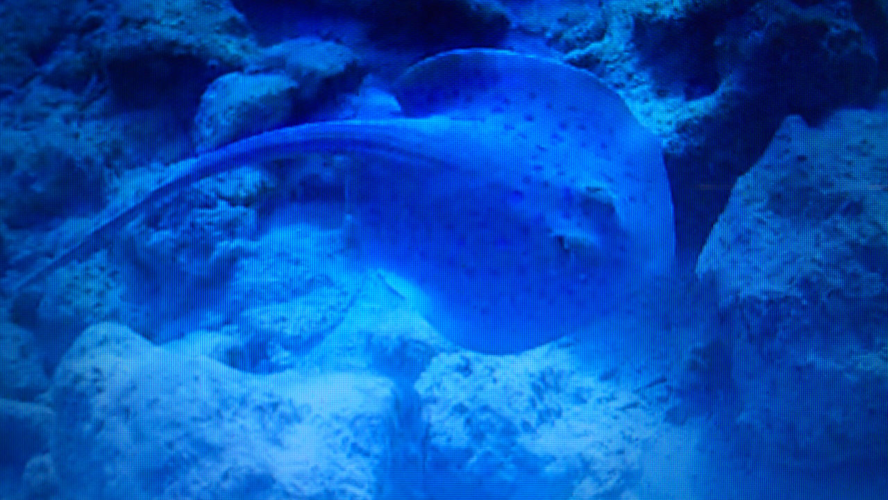 Strand Arabia Azur Resort