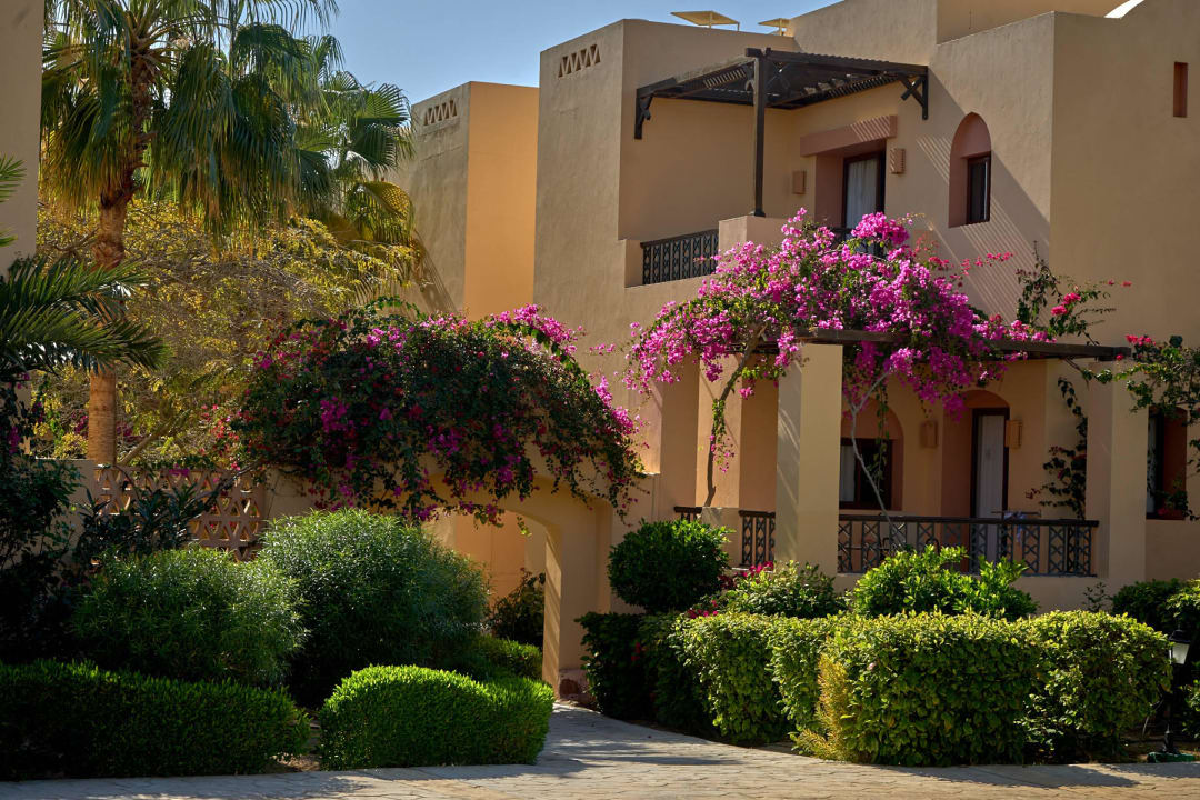 Gartenimpression Steigenberger Coraya Beach - Adults only