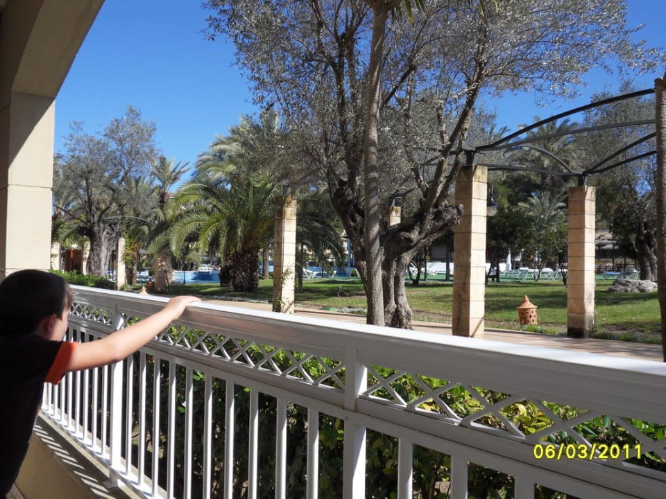 Terrassenausblick auf Pool und Garten Prinsotel La Dorada