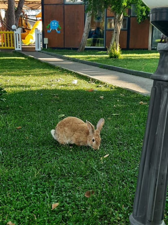Gartenanlage Labranda Alantur Resort