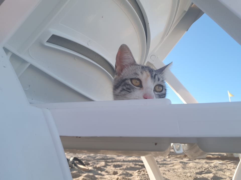 Strand Hotel Delphin Imperial