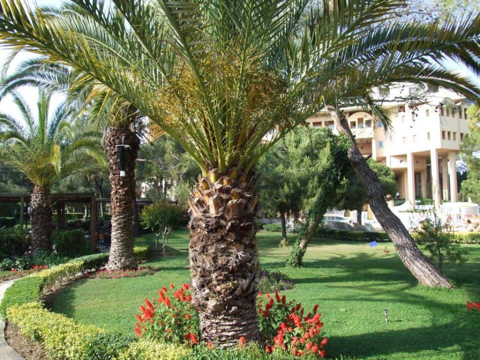 Anlage Asteria Collection Side
