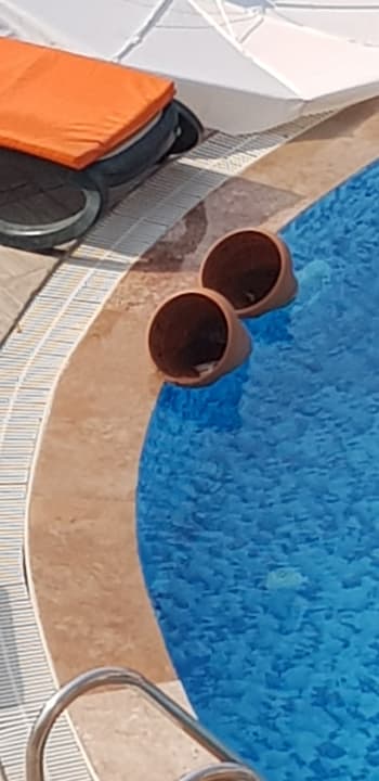 Pool Joker Side Hill