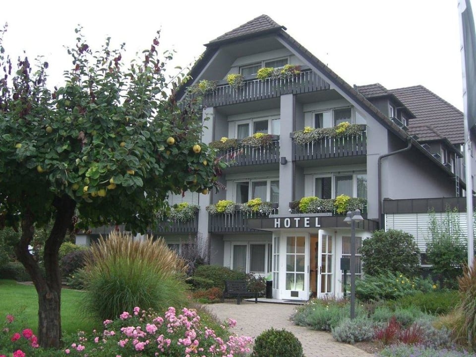 Hotel Mohren Ganter Hotel & Restaurant Mohren