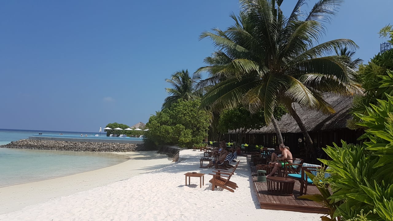 Strand Summer Island Maldives