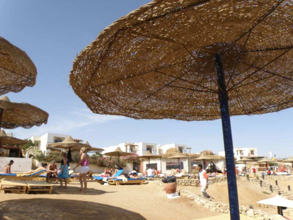 Plaża shores aloha Amphoras Blu