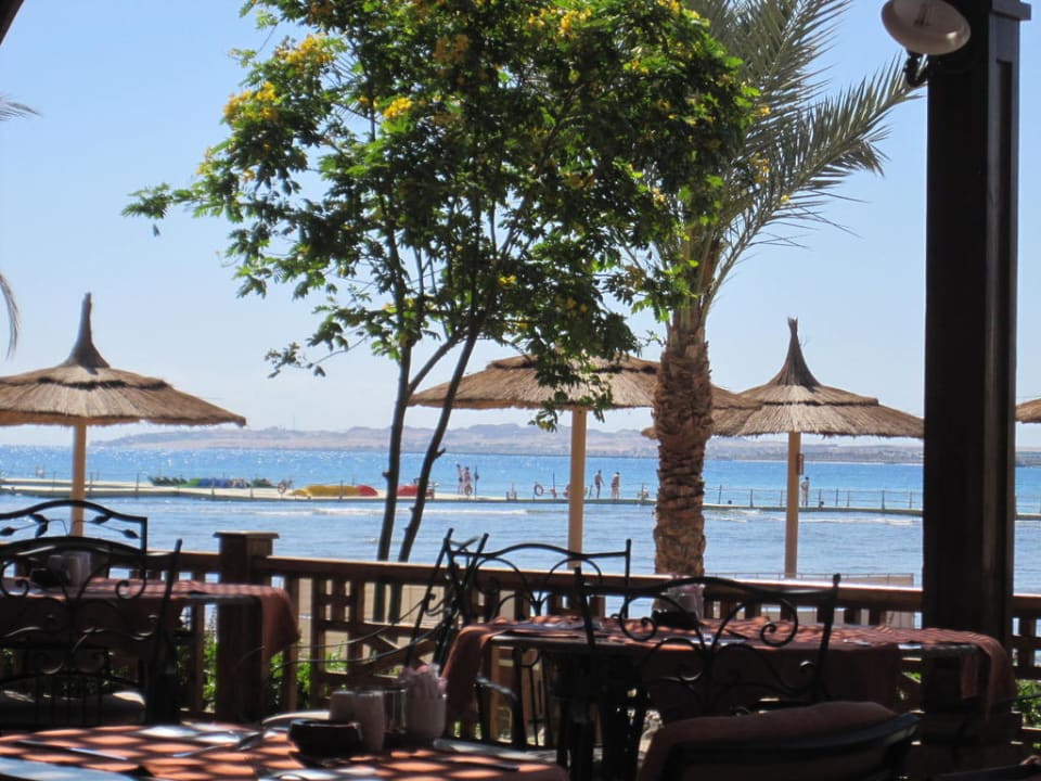 Ausblick beim Frühstück Beach Albatros Resort