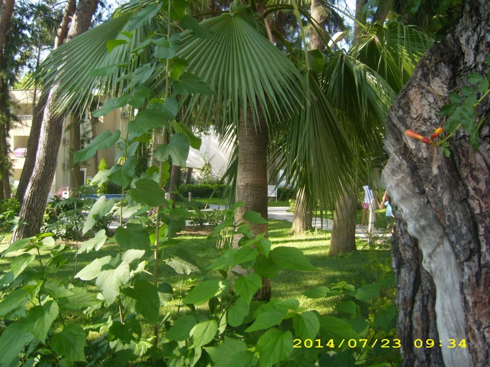 Gepflegter Park Club Sidelya Hotel