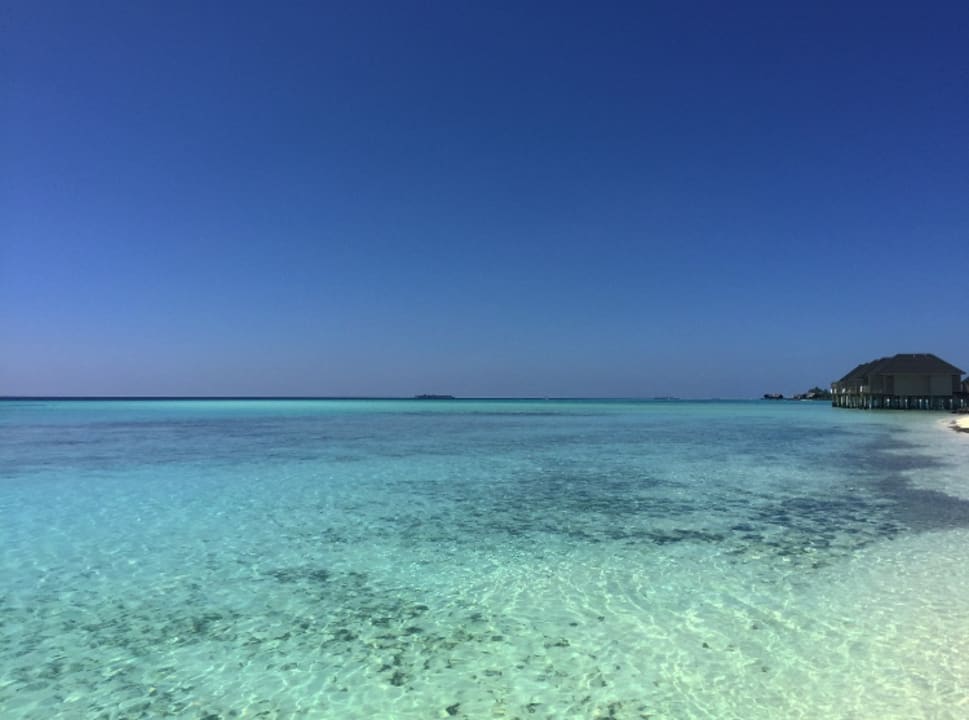 Strand Summer Island Maldives