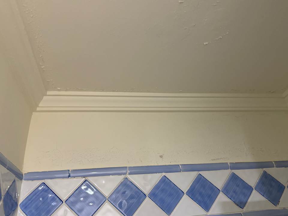 Zimmer BlueBay Beach Club