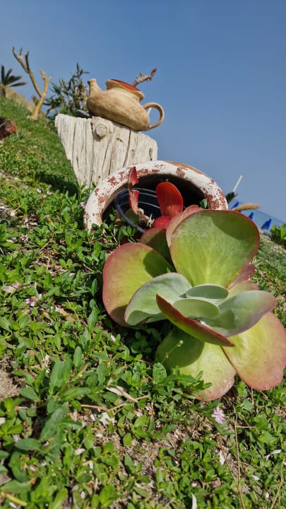 Gartenanlage Hotel Kathrin Beach