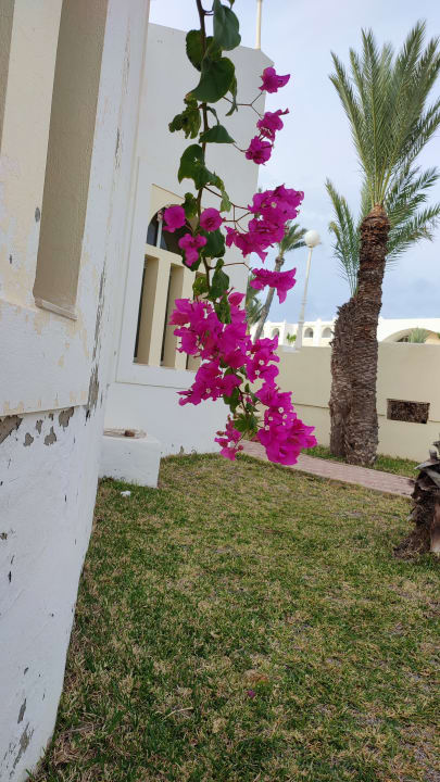 Außenansicht Calimera Yati Beach