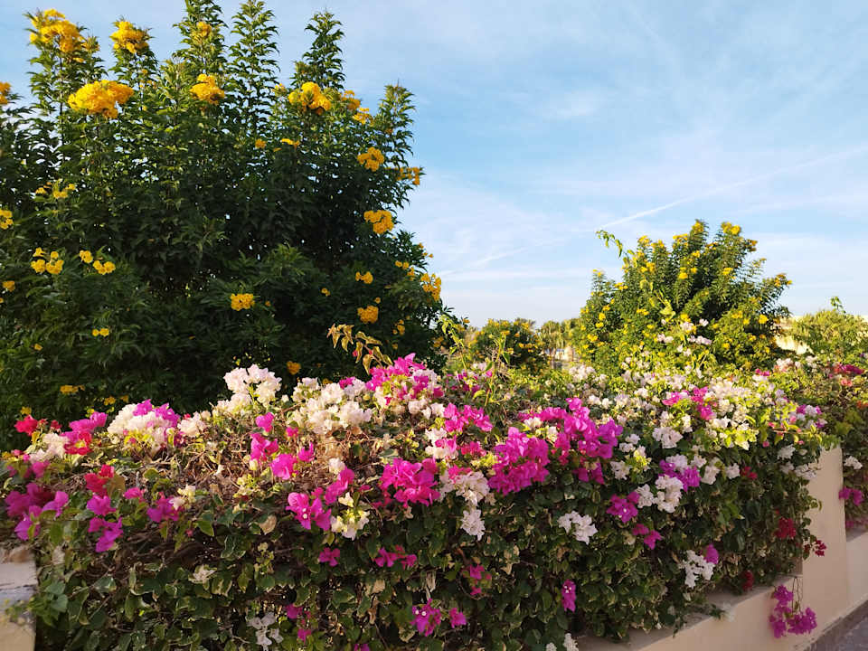 Ausblick Cleopatra Luxury Resort Makadi Bay