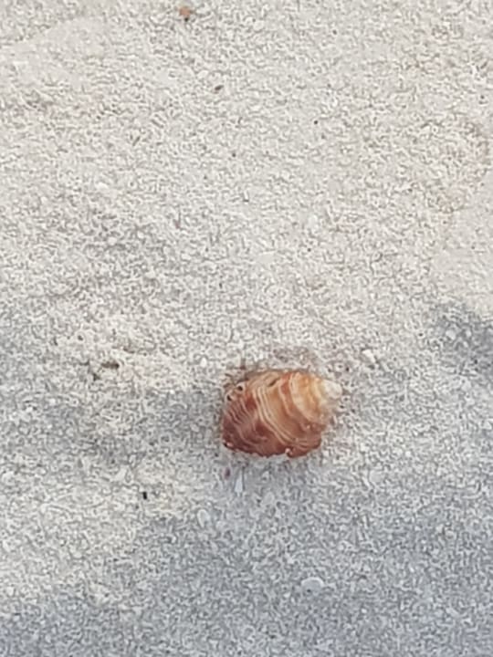 Strand Adaaran Select Meedhupparu Island Resort - Premium All Inclusive