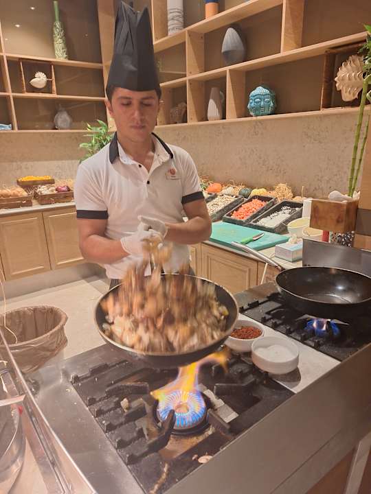 Gastro Acanthus Cennet Barut Collection