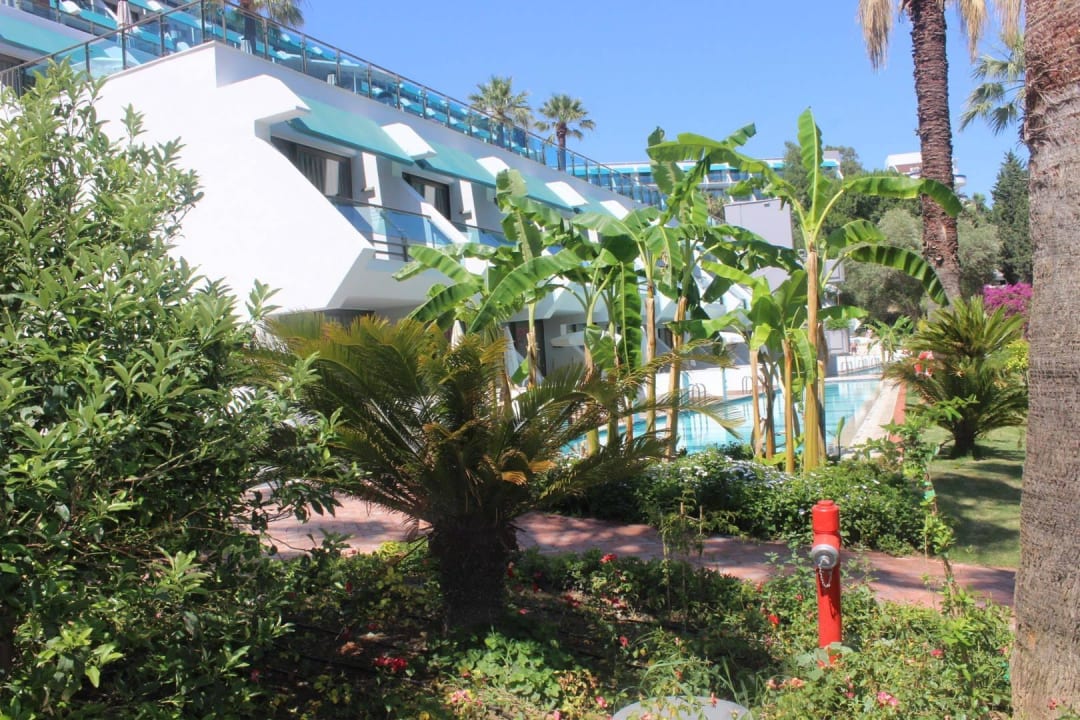 Blick in den Garten Side Star Elegance