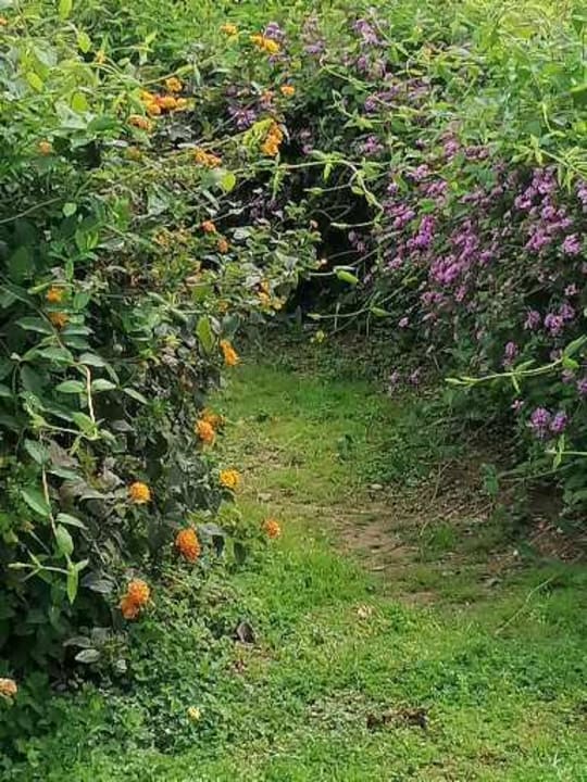 Außenansicht Gardenia Hotel