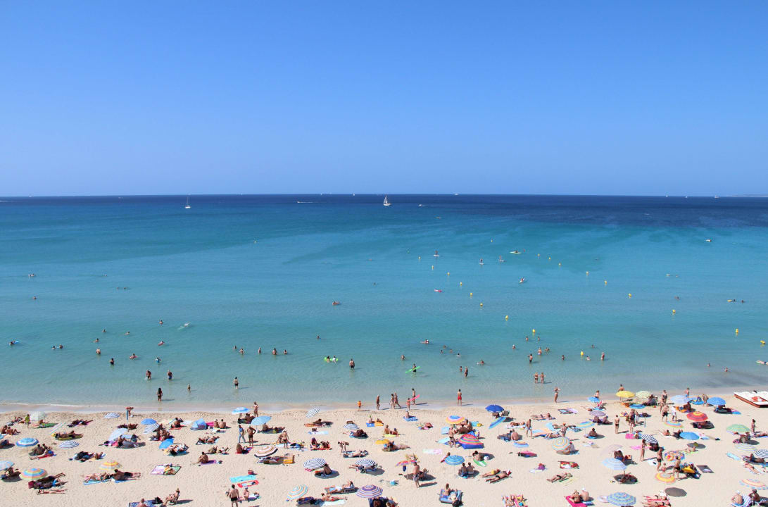 Strand vor dem Hotel/Dachterrasse Hotel Edén Palma Playa - Adults Only