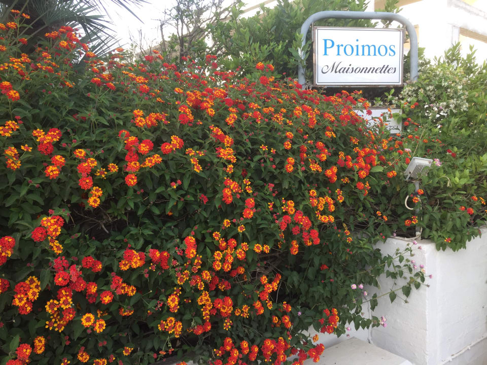 Gartenanlage Proimos Maisonnettes