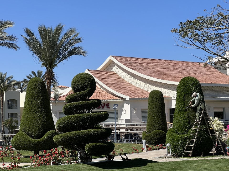 Gartenanlage Pickalbatros Dana Beach Resort - Hurghada