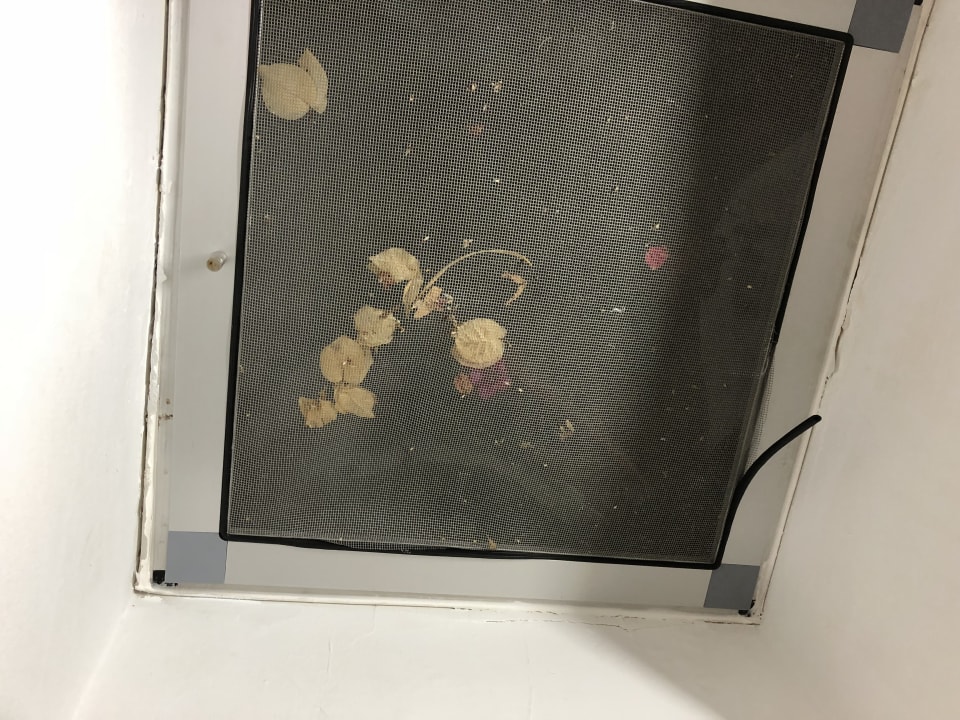 Zimmer HL Miraflor Suites Hotel