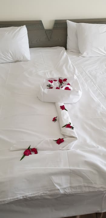 Zimmer Xanadu Resort Hotel