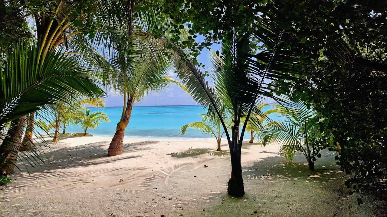 Strand Hotel Riu Palace Maldivas