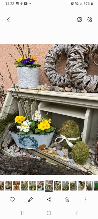 Außenansicht Gästehaus Schulz