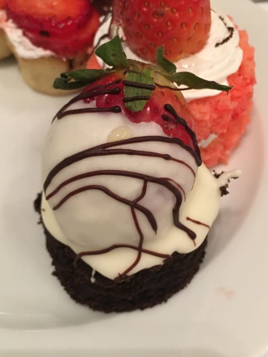 Gastro Serenity Alma Heights
