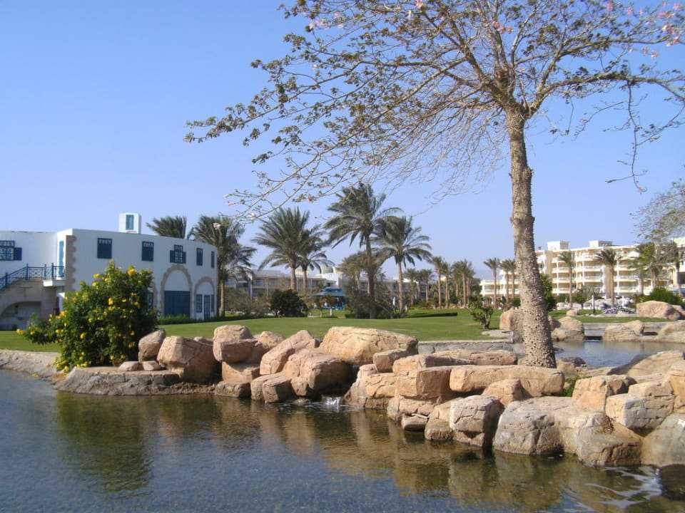 Griechisches Restaurant Palm Royale Resort - Soma Bay