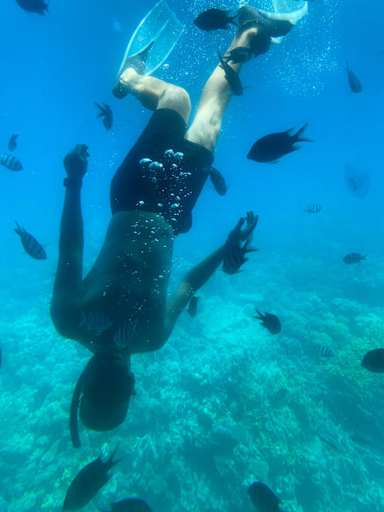 Sonstiges Jaz Makadi Oasis Resort