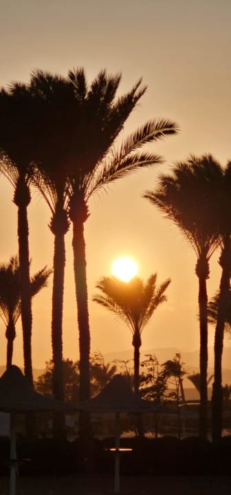 Ausblick Jaz Dar EL Madina