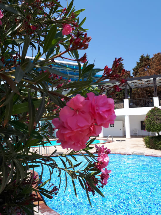 Gartenanlage Hotel Calypso Beach