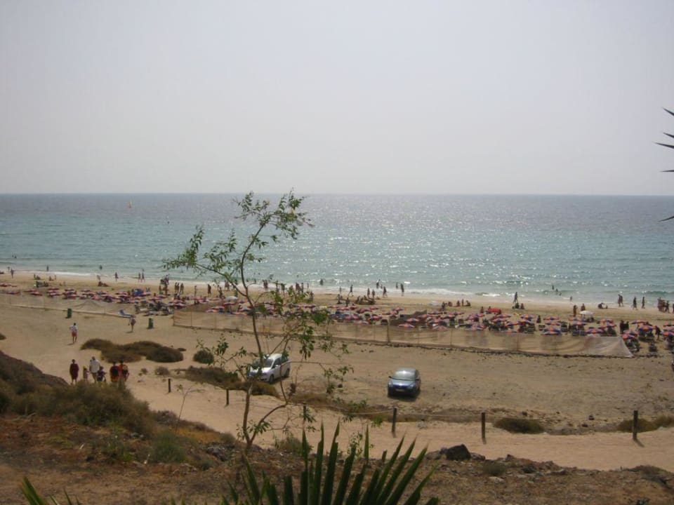 Blick von oben auf den Strand Fuerteventura Princess