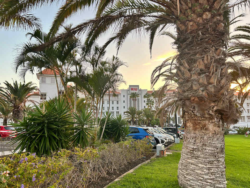 Außenansicht Hotel Riu Arecas - Adults only