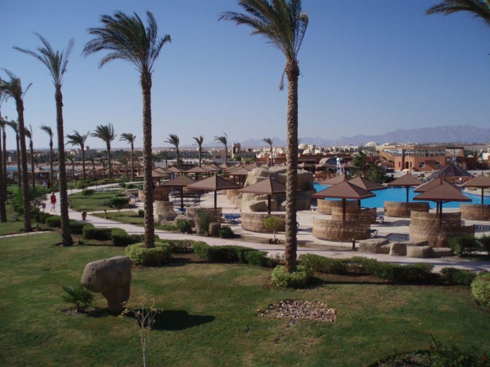 Bild SUNRISE Royal Makadi Resort