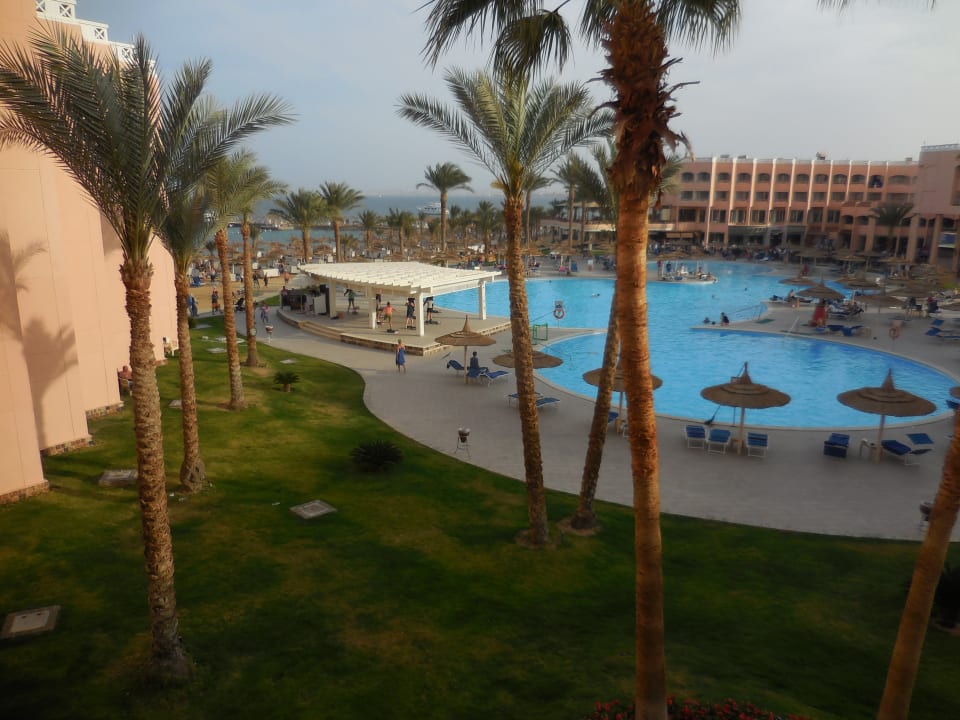 Poolanlage mit Animation Beach Albatros Resort